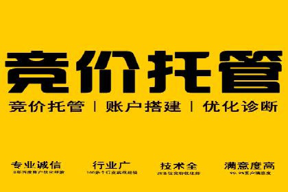 竞价托管成功案例：助力企业实现高效广告投放